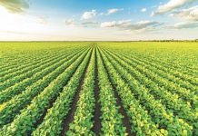 Agriculture sector grew by 2.67% in 2019-20: Economic Survey