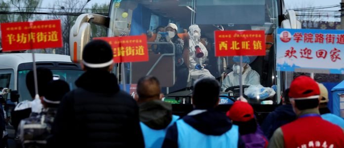 COVID-19 round the world