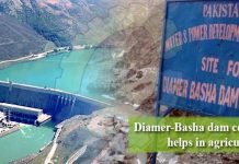Massive build-up of machinery, plants at Diamer Basha Dam site