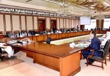 Federal Cabinet approves budget 2020-21
