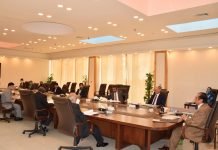 NAB EBM approves 3 inquiries against former PTI minister Amir Kayani, Zafar Mirza, others