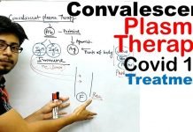 NIBD head Dr Tahir Shamsi appeals to recovered COVID-19 patients to donate plasma