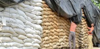 Country stocks five million metric tons of wheat: Fakhar Imam