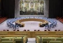 Pakistan plans to discredit India’s UNSC membership
