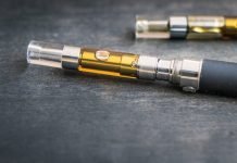 Ban on E-cigarettes demanded to protect youth from its harmful effects