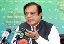 Govt to initiate projects worth Rs400bn in construction sector, says Shibli
