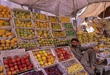 Pakistan exports $730.562 million fruits, vegetables during fiscal year 2019-20