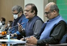 Politicians played major role in destruction of national institutions: PTI ministers