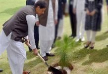 PM to launch monsoon plantation drive in Kahuta today