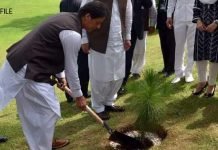 Prime Minister launches monsoon tree plantation campaign in Kahuta