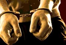 Customs clearing agents, importers held for causing Rs340m loss to national exchequer