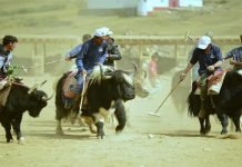 Broghil Festival now on September 12