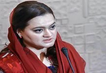 ‘Rented’ PTI spokespersons should focus on national issues instead of Nawaz Sharif: Marriyum Marriyum - The News Today - TNT