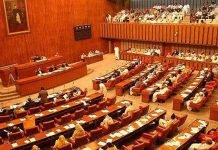 Youm-e-Istehsal: Special Senate session denounces India for August 5 move Senate - The News Today- TNT