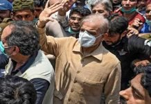 Money laundering case: LHC extends Shehbaz Sharif’s interim bail till Sept 24 Shahbaz Sharif - The News Today-TNT