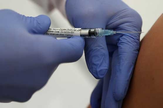 Vaccine Vaccine - The News Today-TNT