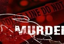 Man kills younger brother over domestic dispute in Okara Killing - The News Today-TNT