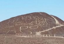 2000-year-old cat drawing discovered on hill in Peru Cat Drawing - The News Today-TNT