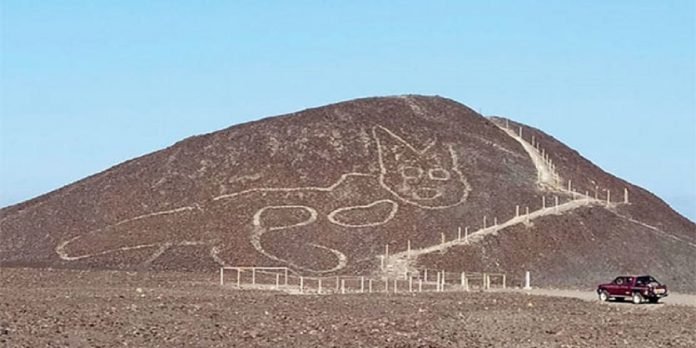 Cat Drawing - The News Today-TNT