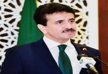 Abhinandan freed as peace gesture: Zahid Hafeez Foreign Office Spoeksperson - The News Today - TNT