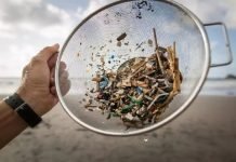 14 million tonnes of micro-plastics on sea floor: study Micro Plastic - The News Today-TNT