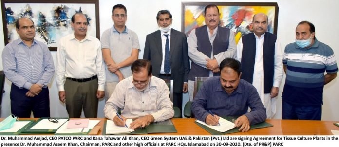 Patco Parc COVID-19 - The News Today-TNT