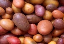 Potato to fulfill Pakistanis’ food bag and purse in post-COVID era: Report
