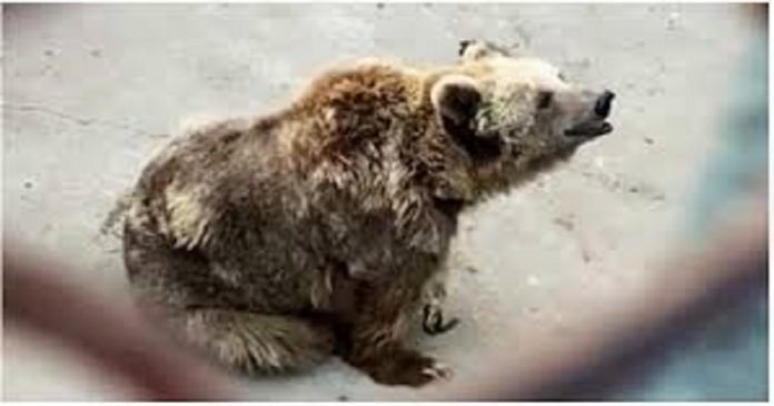 Reno - The News Today-TNT