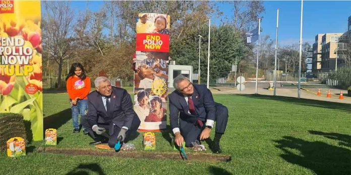 Title - The News Today - TNT