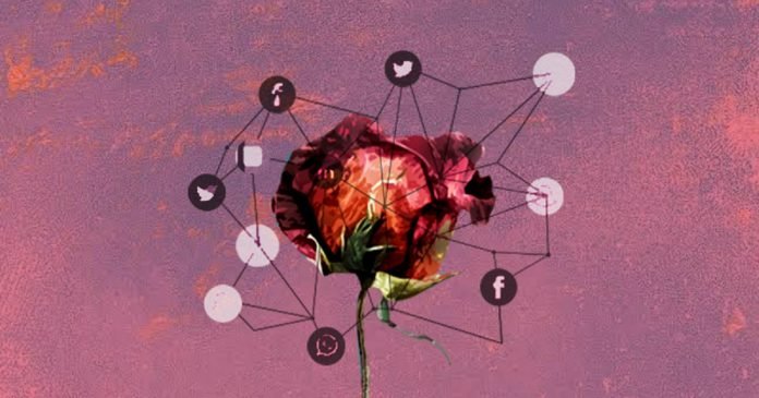 Broader Broader - The News Today-TNT