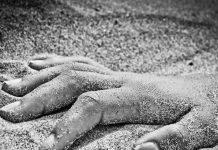 Man held after allegedly dumping wife’s headless body, another kills brother in law Murder - The News Today-TNT