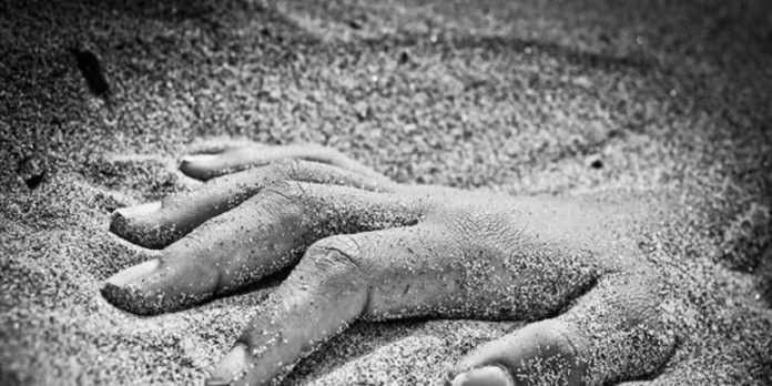 murder Murder - The News Today-TNT