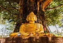 Pakistan receives 45 stolen relics from US Buddha - The News Today - TNT