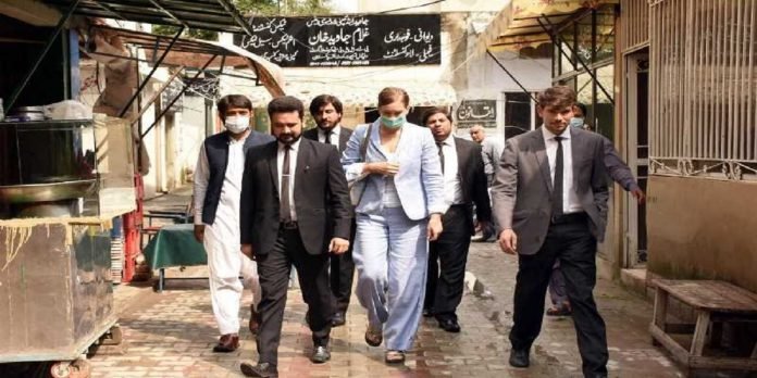 Cynthia Ritchie - The News Today - TNT