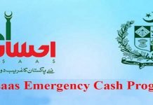 Ehsaas Emergency Cash Program contributes largely for welfare of vulnerable segments Ehsaas-programme - The News Today - TNT