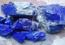 Pakistani Gemstones Shine at Nanjing Expo, Attracting Global Buyers Gems - The News Today - TNT