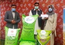 JICA distributes wheat seed and fertilizer among farmers in locust-hit areas JICA relief - The News Today - TNT