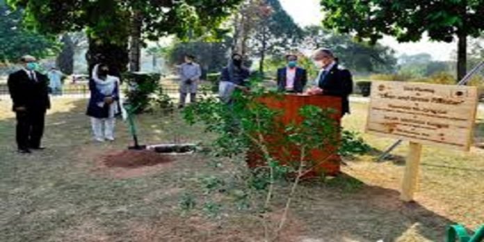 Japan donates trees - The News Today - TNT