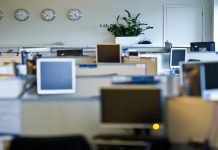 Punjab orders 50% staff reduction at public, private offices Office - The News Today - TNT