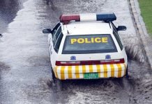 60-year-old man shot dead over money Police - The News Today - TNT