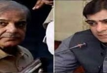 Punjab cabinet approves to release Shehbaz, Hamza on parole Shehbaz and Hamza - The News Today - TNT
