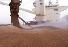 114,500 tons of imported wheat arrives in Karachi Wheat shipment - The News Today - TNT