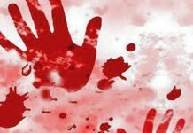 Man kills son, injures wife before committing suicide: police murder - The News Today - TNT