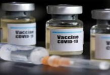 Government decides to approach GAVI for availability of coronavirus vaccine COVID Vaccine - The News Today - TNT