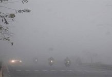 Two killed, four injured as dense fog blankets parts of Punjab Fog - The News Today - TNT