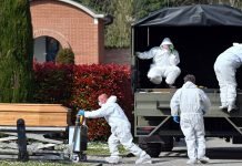 France, Germany confirm cases of British coronavirus variant France, Germany - The News Today - TNT