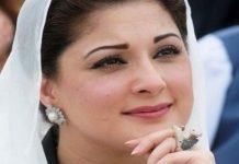 Maryam Nawaz reveals over 95% lawmakers of PML-N have resigned so far Maryam Nawaz - The News Today - TNT
