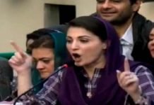Government’s days are numbered, says Maryam Nawaz Maryam Nawaz - The News Today - TNT