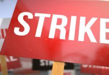 Bureaucracy goes on strike in South Punjab over handcuffing of AC Strike- The Newstoday-TNT