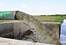 Water Crisis And Investment In Water For Economic Sustainability Vegetables on toxic water - The News Today - TNT